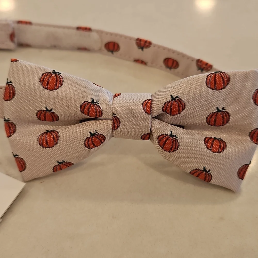 Janie & Jack Kids Bowtie Pumpkin Harvest 2t-4t New